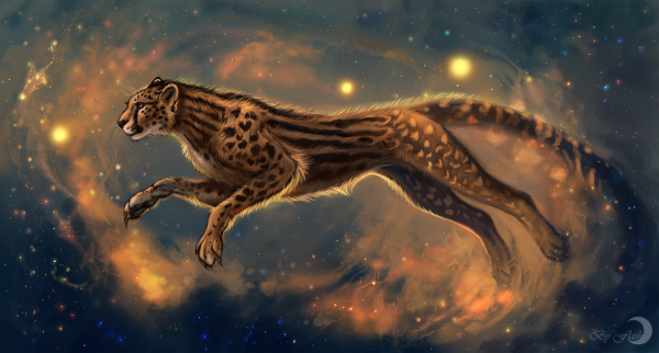 Тигр под дождем