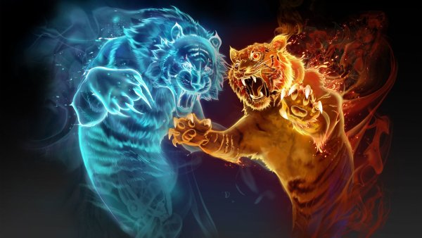 Фотообои тигр