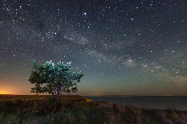 Звездный пейзаж
