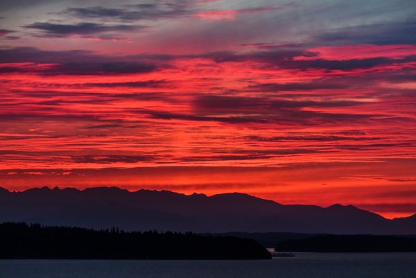 Багряный закат