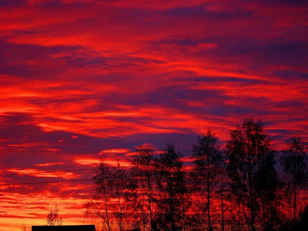 Кровавое небо
