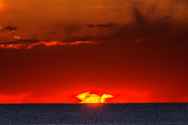 Багряный закат