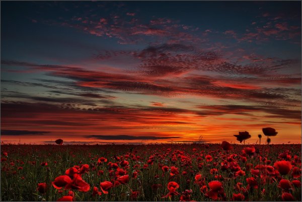 Небо зарево