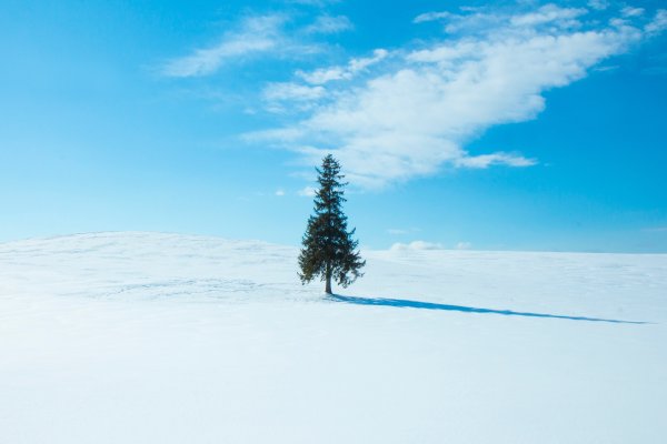 Зимний Горизонт