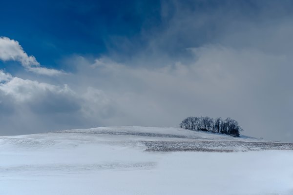Снежная ночь