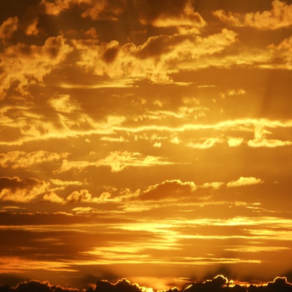 Желтые небеса