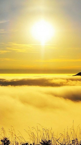 Желтый закат