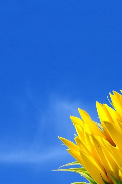 Желтый цвет