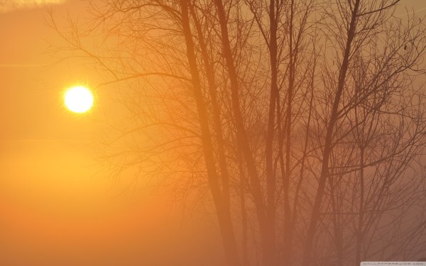 Желтый рассвет Эстетика