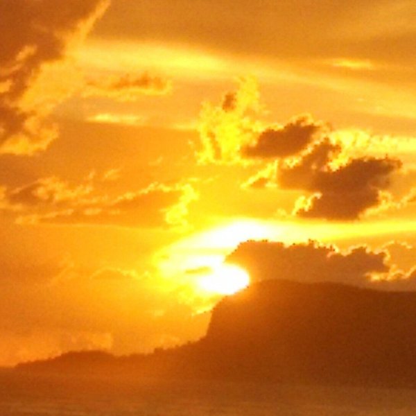 Желтое поле голубое небо