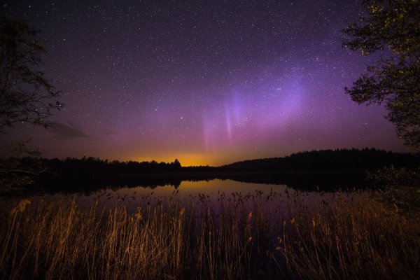 Природа ночью