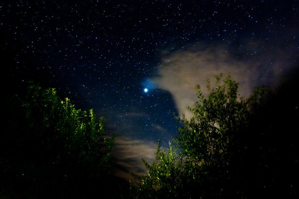 Ярко звёзд мерцанье