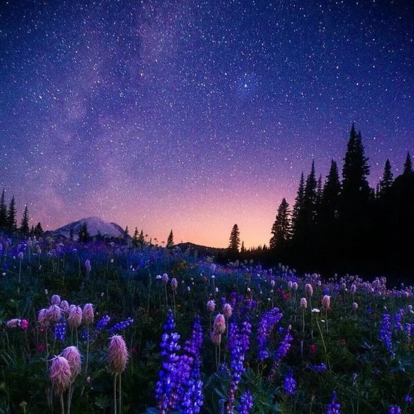 Природа ночью