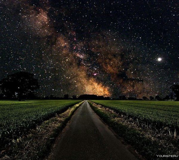 Ночь звезды