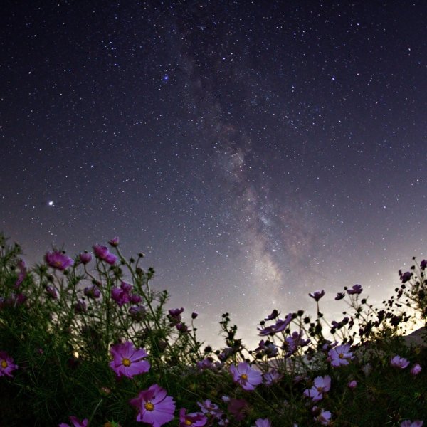 Дневное звездное небо