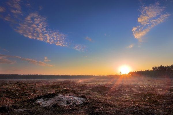 Рассветное солнце