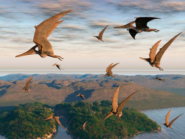 Гигантский Птеранодон Родан