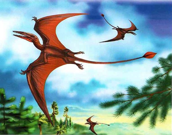 Птерозавры мезозойской эры