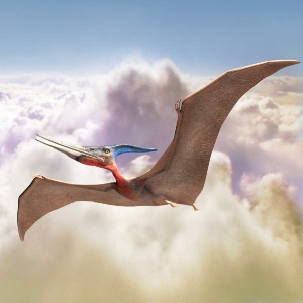 Динозавры летающие Птеранодон
