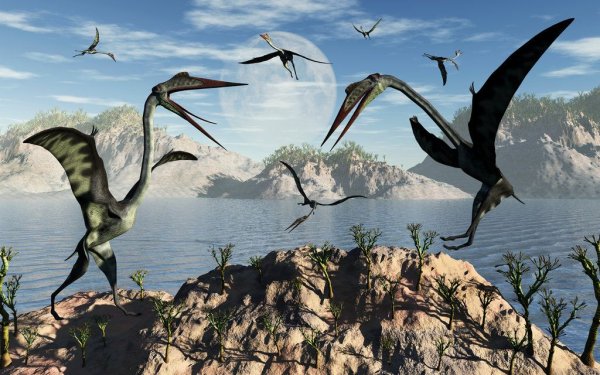 Птеродактиль динозавр