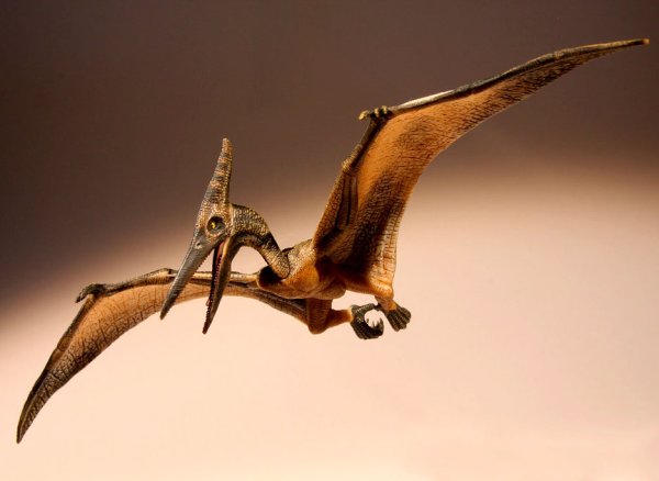 Птеродактиль динозавр