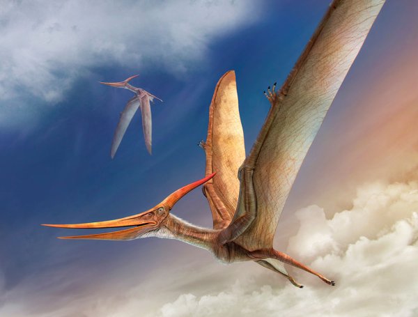 Динозавр в космосе