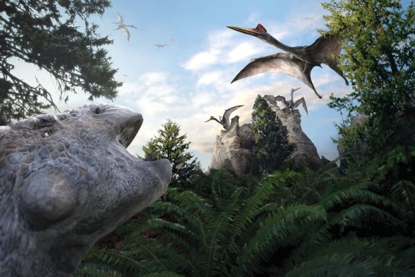 Птерозавры рамфоринхи