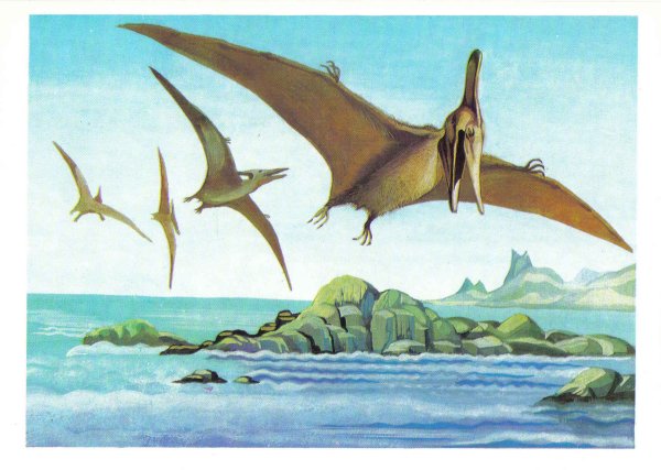 Птеродактиль динозавр