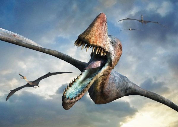 Тирадактер динозавров