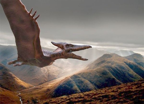 Динозавры в дикой природе