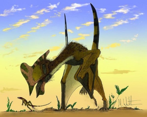 Птеранодон динозавр