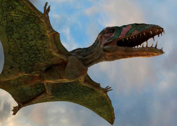 Вымирание динозавров астероид