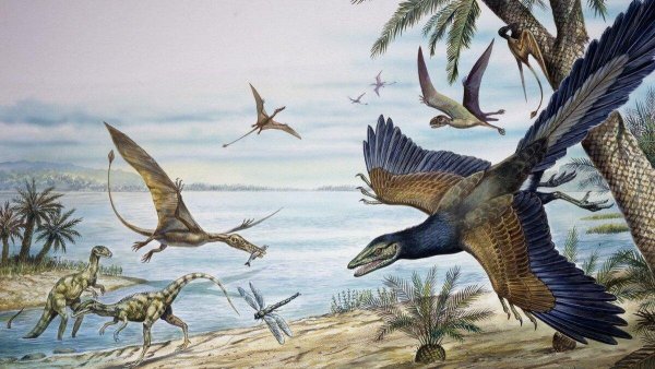 Тапежара Император