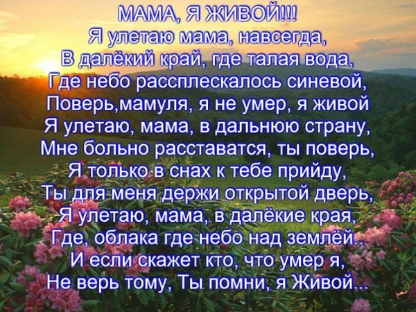 Красивые силуэты семьи