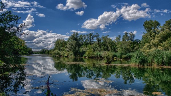 Волго-Ахтубинская Пойма природный парк