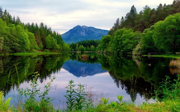 Пейзаж с рекой