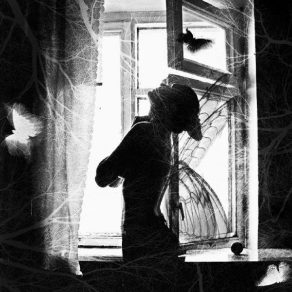 Одиночество зимой