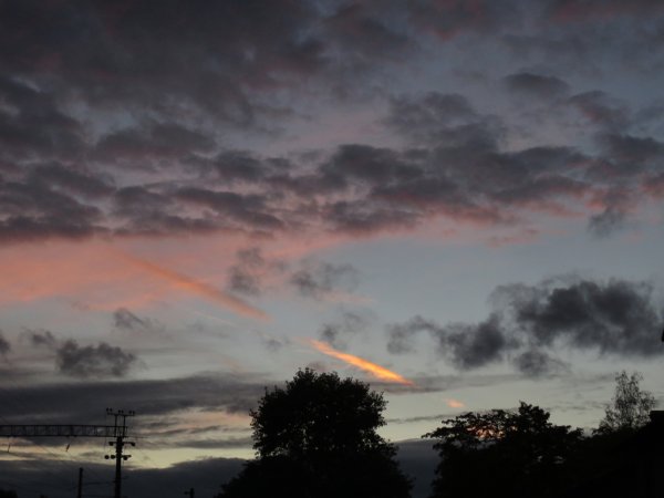 Что такое Зарница в природе