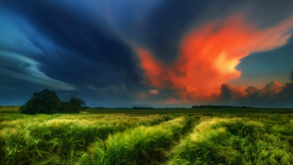 Зарница природное явление