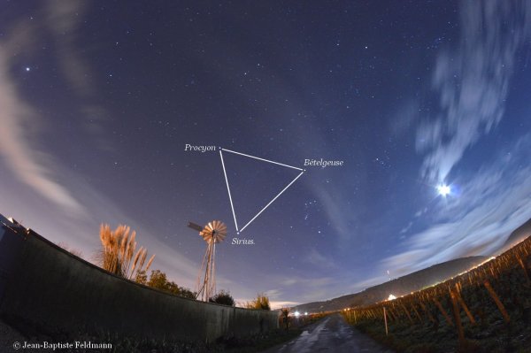 Сириус Бетельгейзе Процион