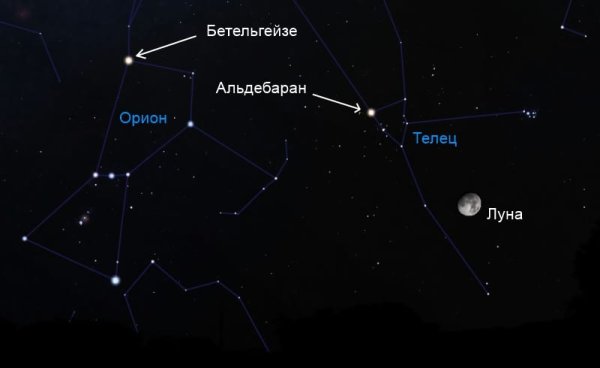 Бетельгейзе звезда в созвездии