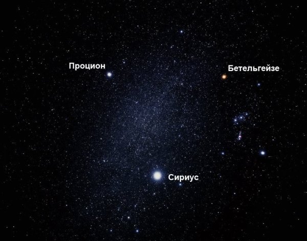 Бетельгейзе Процион созвездия