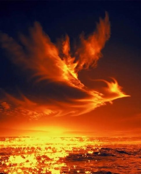 Огненный рассвет