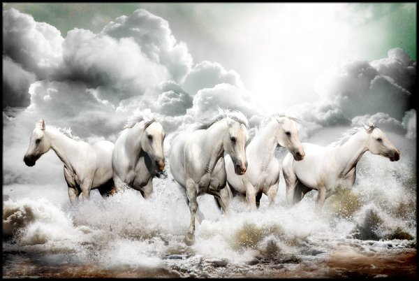 Лошадь в небе
