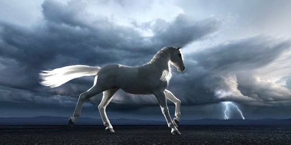 Белая лошадь в небе