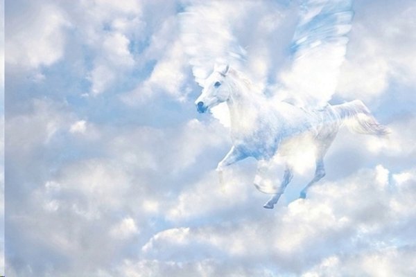 Лошадь в небе