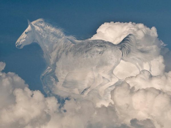Небесные лошади