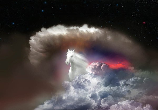 Фотохудожник Игорь Зенин лошади