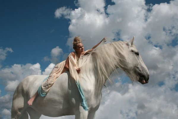 Конь в небесах