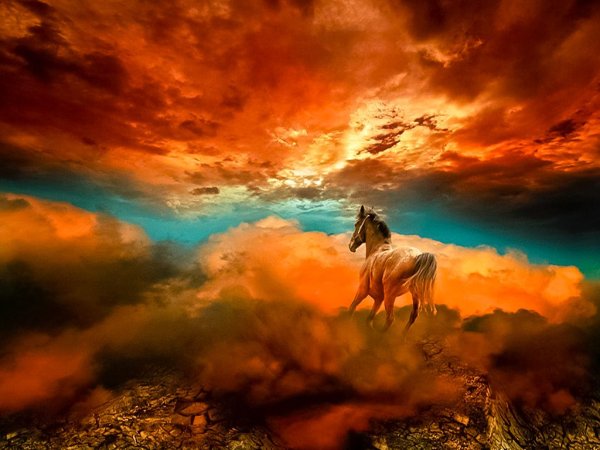 Лошадь в небе